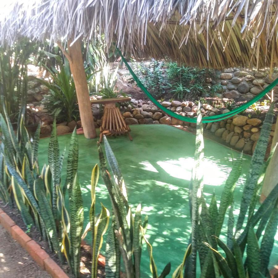 Posada Olivo Mazunte Exterior photo